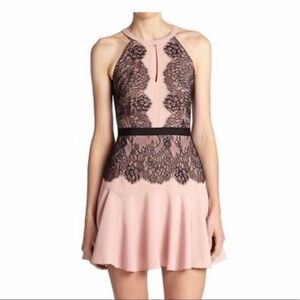 BCBGMaxAzria Leyla Pink and Black Lace Mini Dress